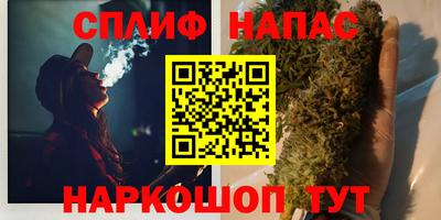 крисы Будённовск
