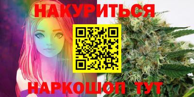 крисы Будённовск