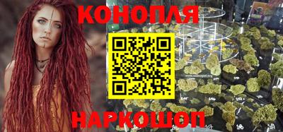крисы Будённовск