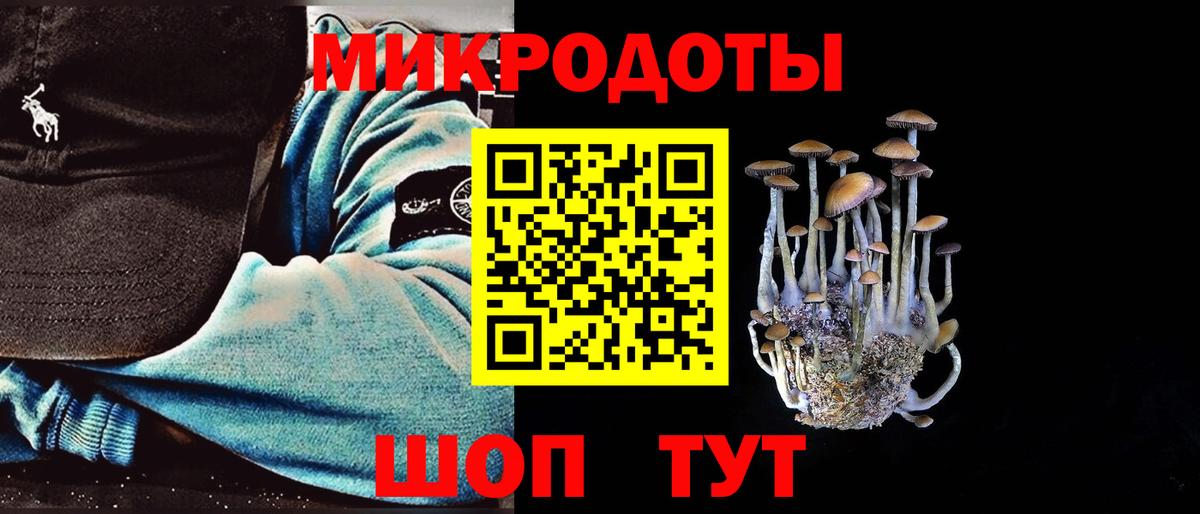 где найти наркотики  Псилоцибиновые грибы Magic Shrooms  Вход с VPN  Псилоцибиновые грибы Magic Shrooms  Минусинск 